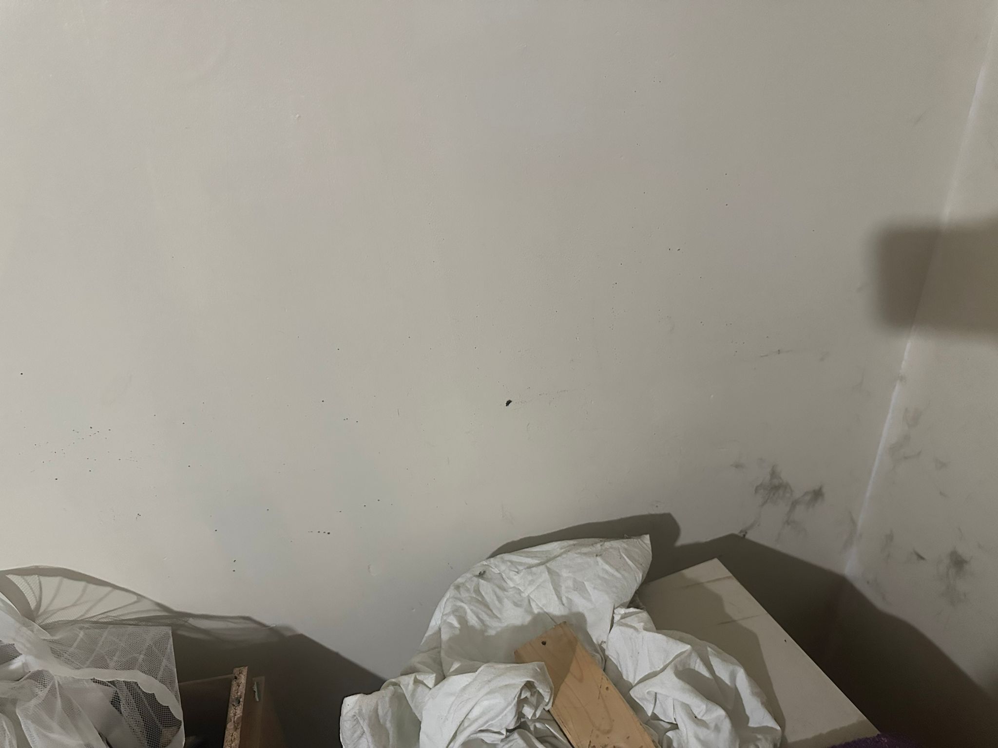Black mould in rental property in Middlesbrough bedroom wall due to housing disrepair