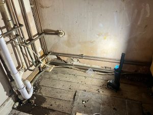 black mould in rental property sunderland damp walls housing disrepair