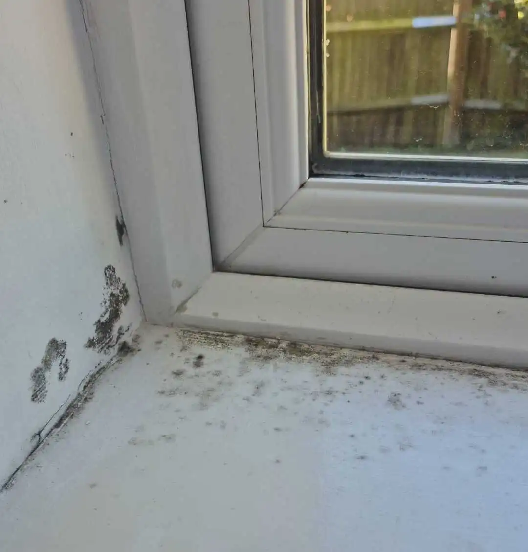 Housing Disrepair