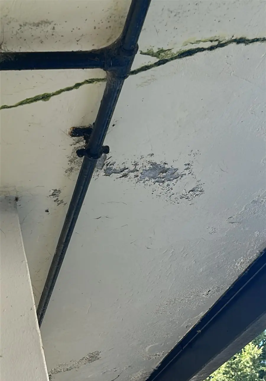 Housing Disrepair