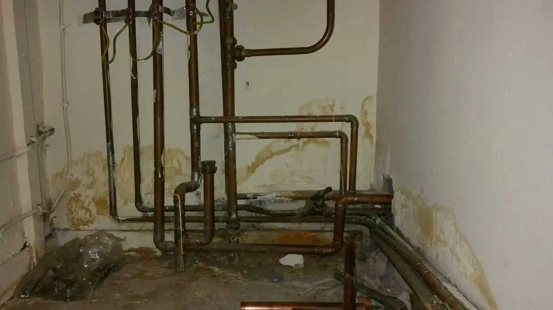 Housing Disrepair