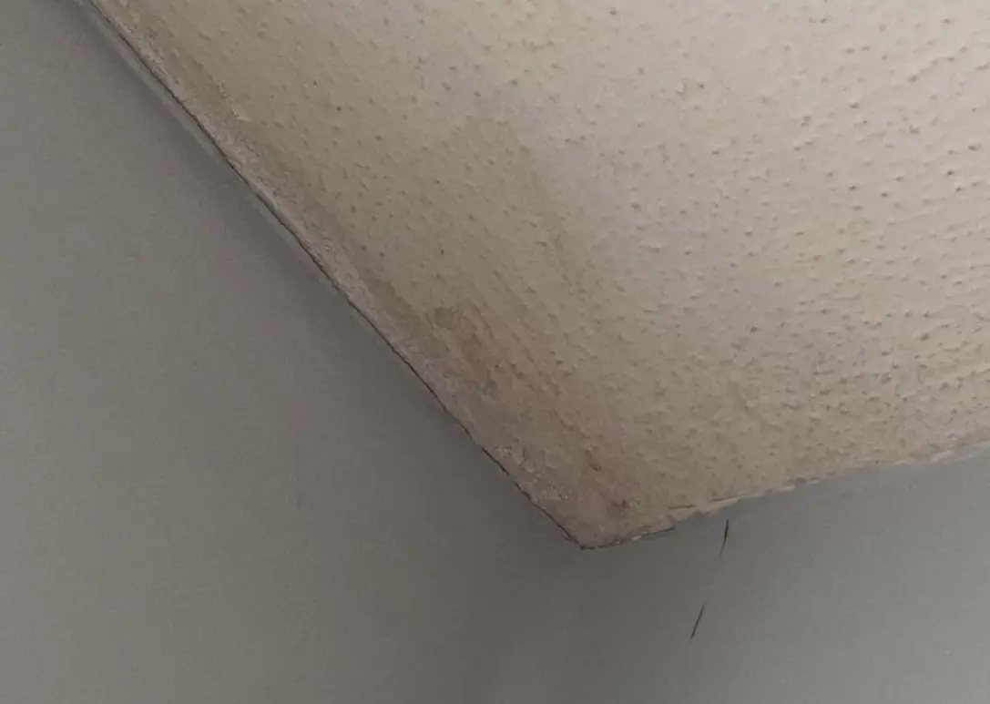 Housing Disrepair