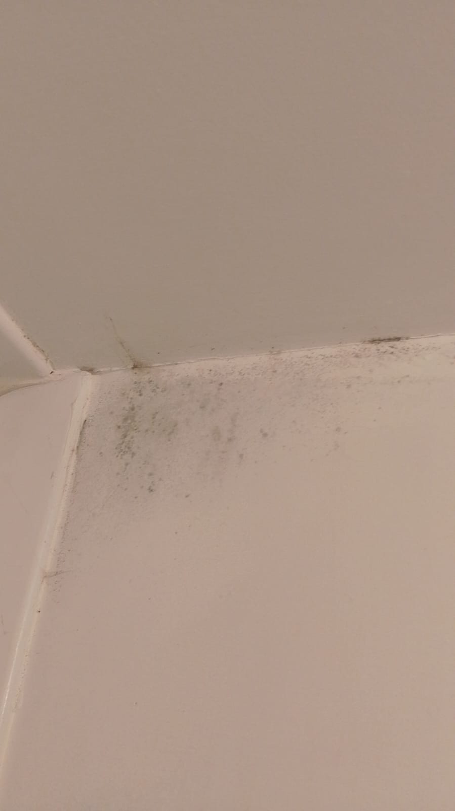 black mould Oldham rental property