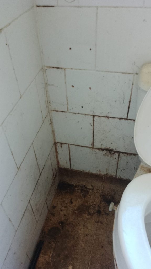 housing disrepair in Birmingham showing damp and mould in council property